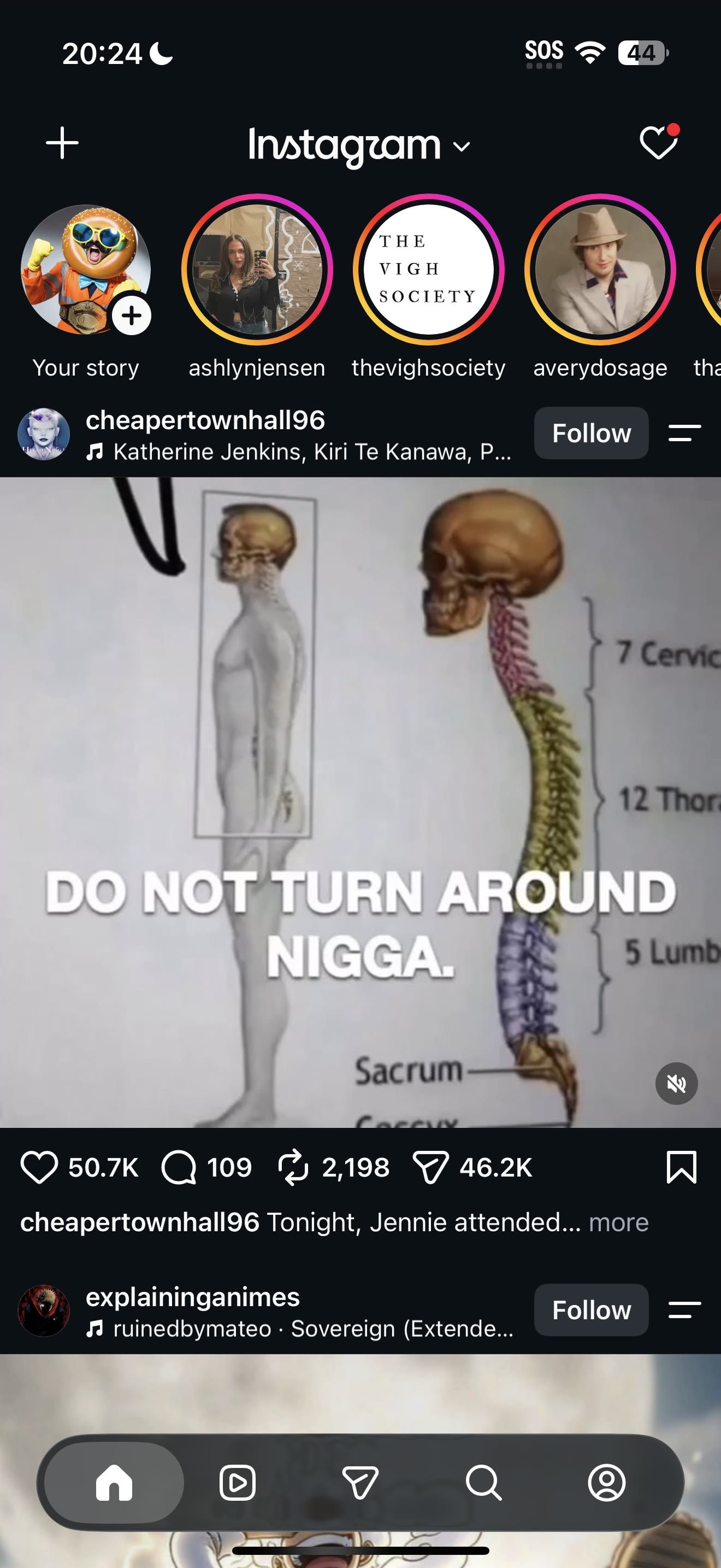 Vertebral Column