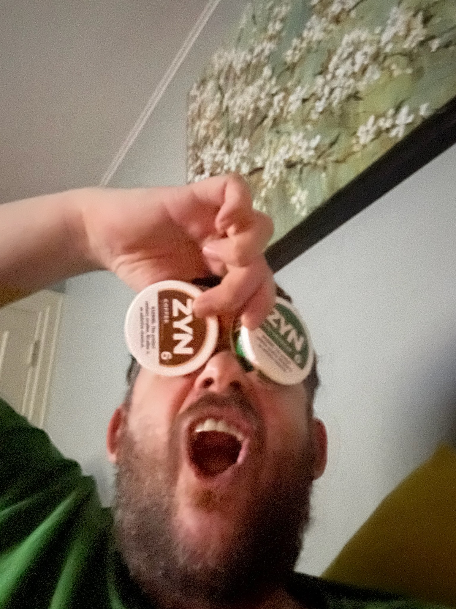 ZYN Goggles