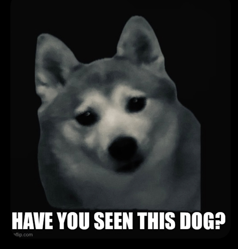 Have You Seen This Dog