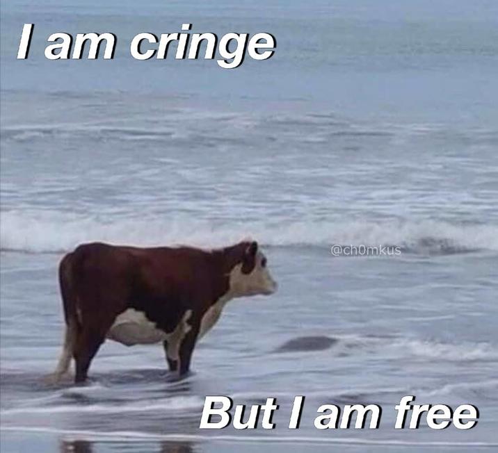 I Am Cringe but I Am Free