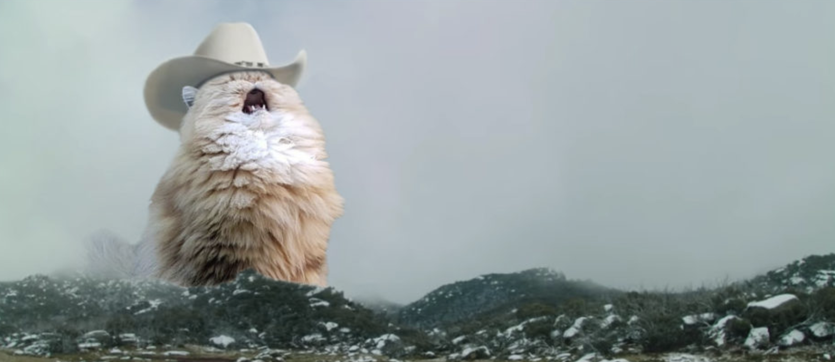 Giant Cowboy Cat