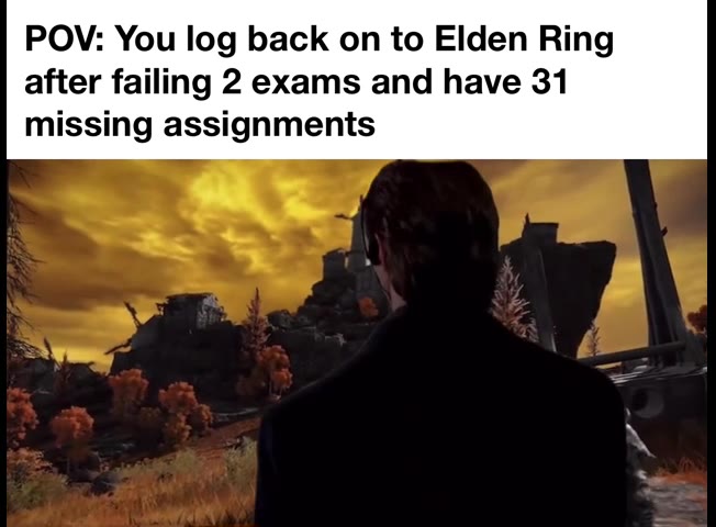 POV: You Log Back on to Elden Ring