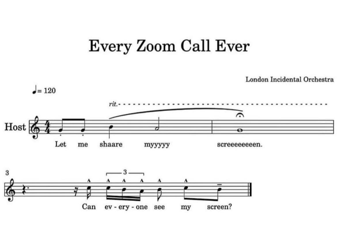 Every Zoom Call Ever
