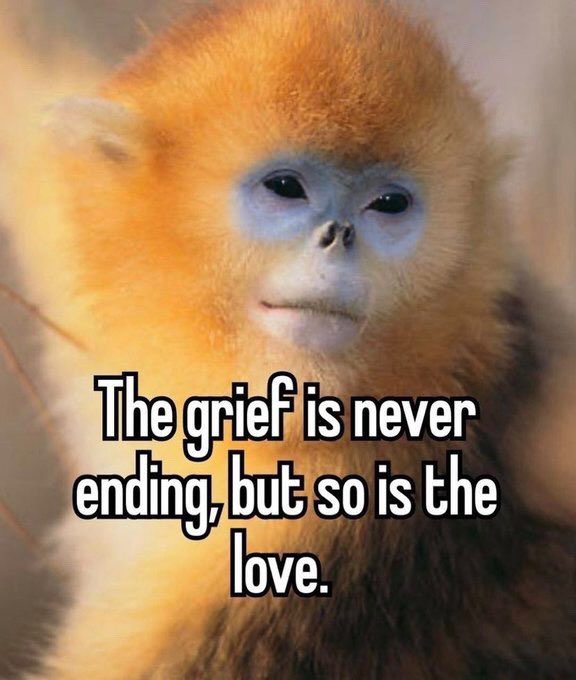 The Grief Is Never Ending, but So Is the Love