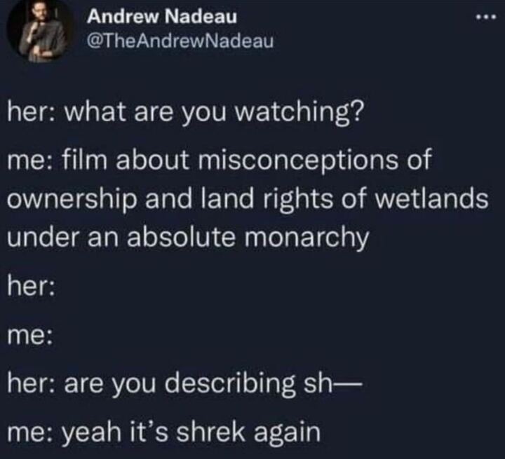 Yeah It's Shrek Again