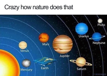Crazy How Nature Does That