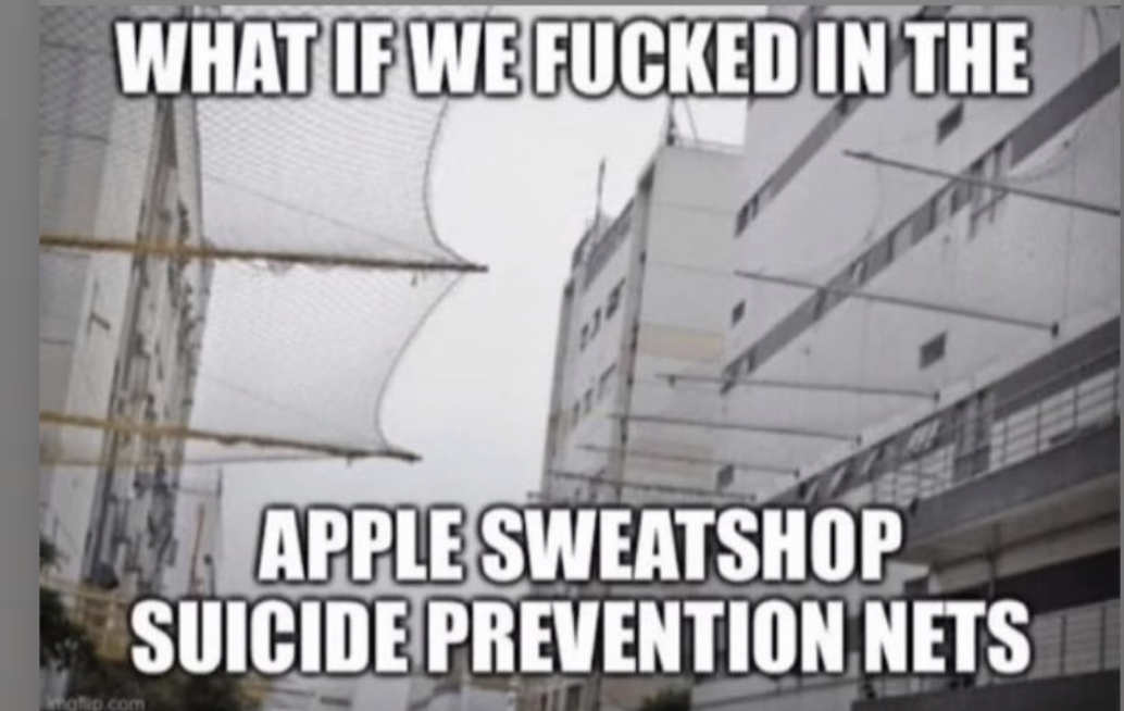 Apple Sweatshop Suicide Prevention Nets
