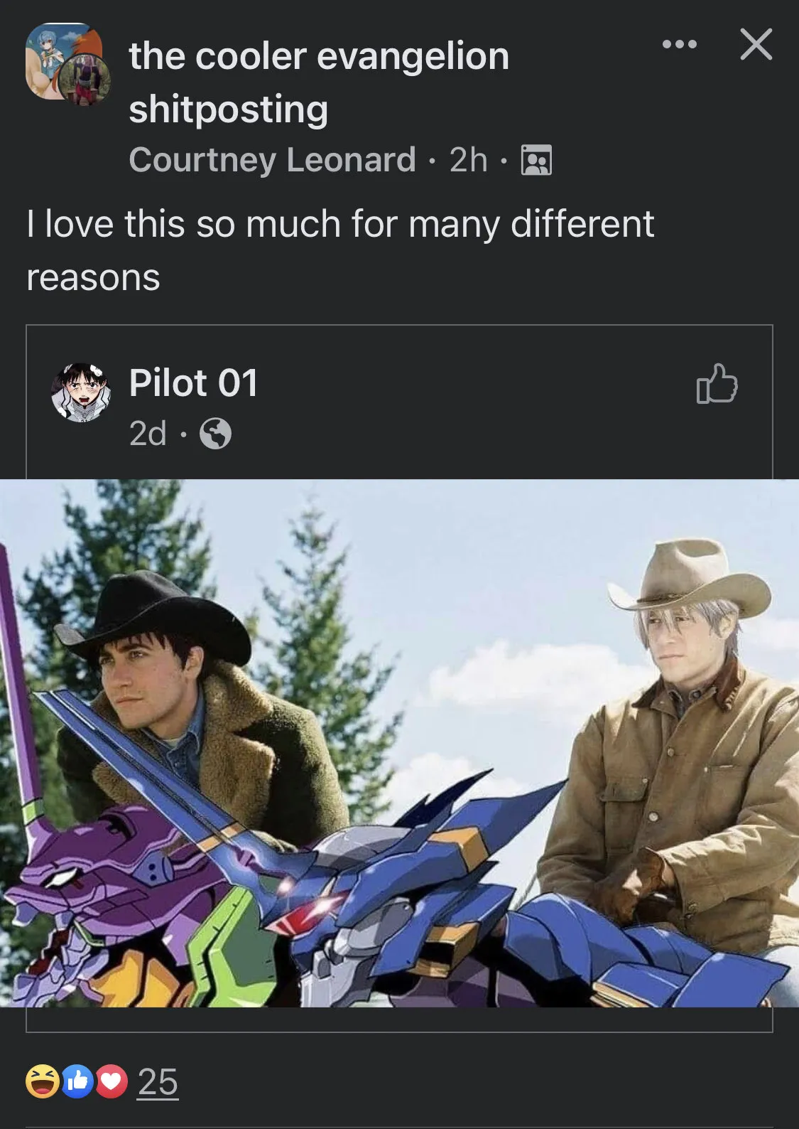 Brokeback Evangelion