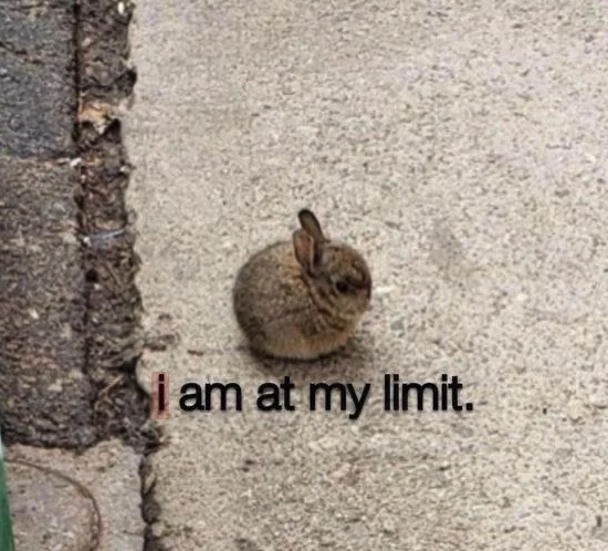 I Am at My Limit