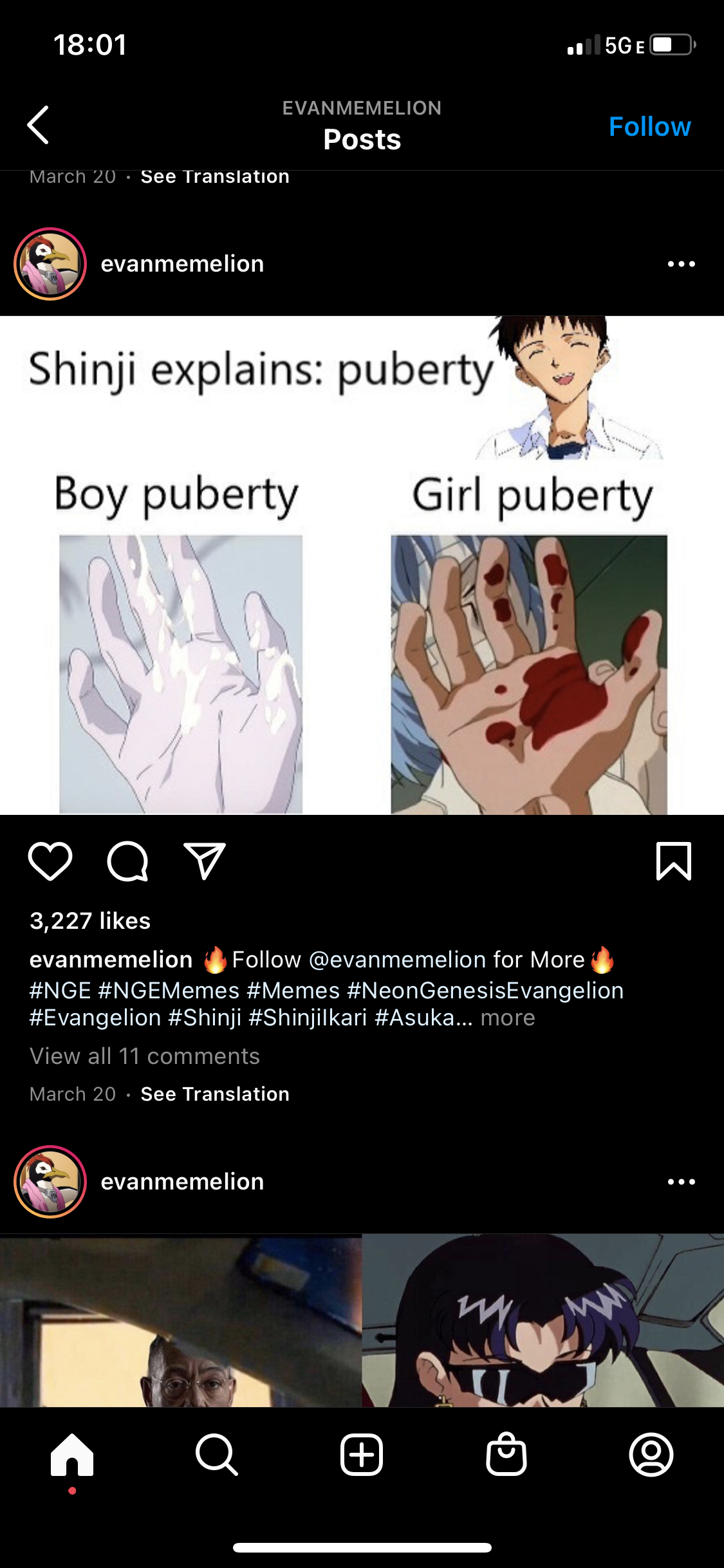 Shinji Explains: Puberty
