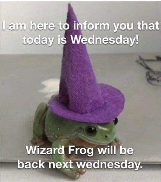 Wizard Frog