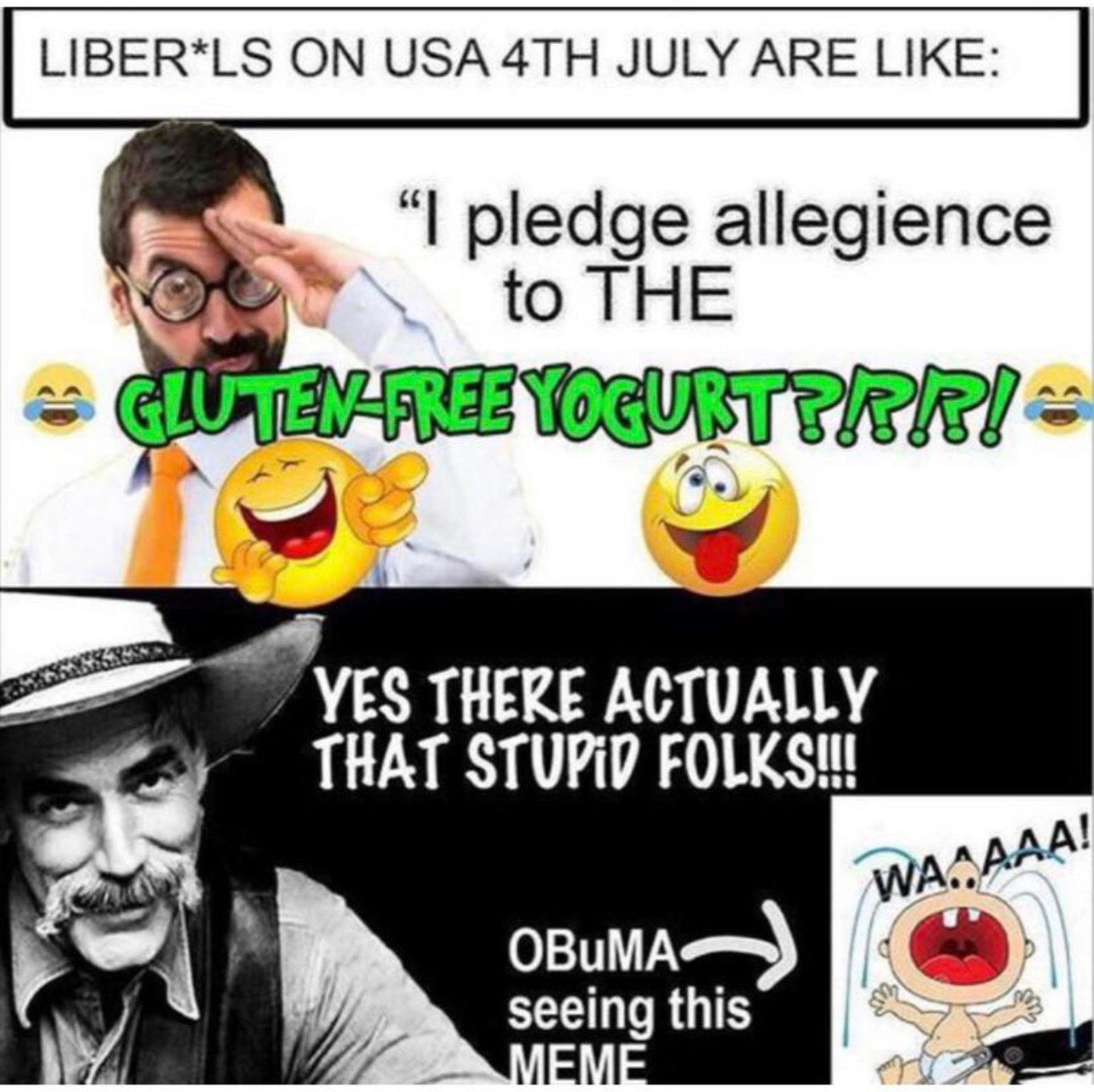 Liber*ls on USA 4th July Are Like