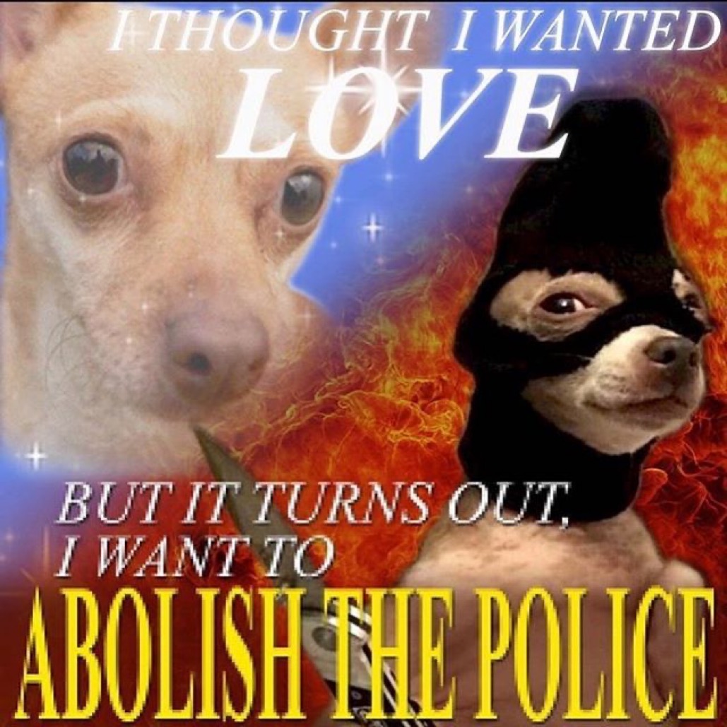 I Thought I Wanted Love