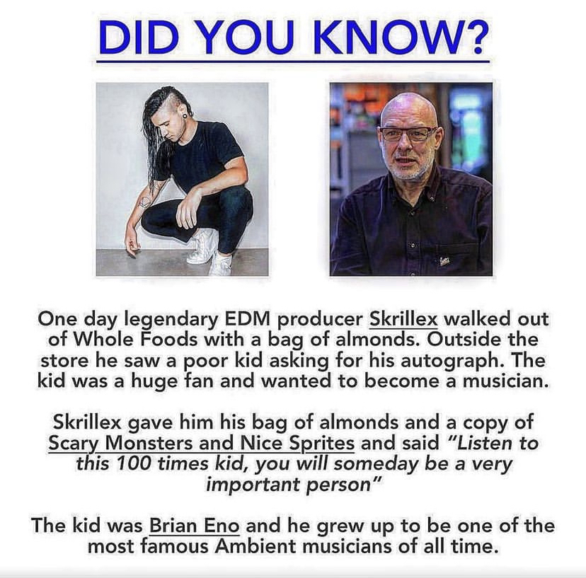 Did You Know? Skrillex and Brian Eno