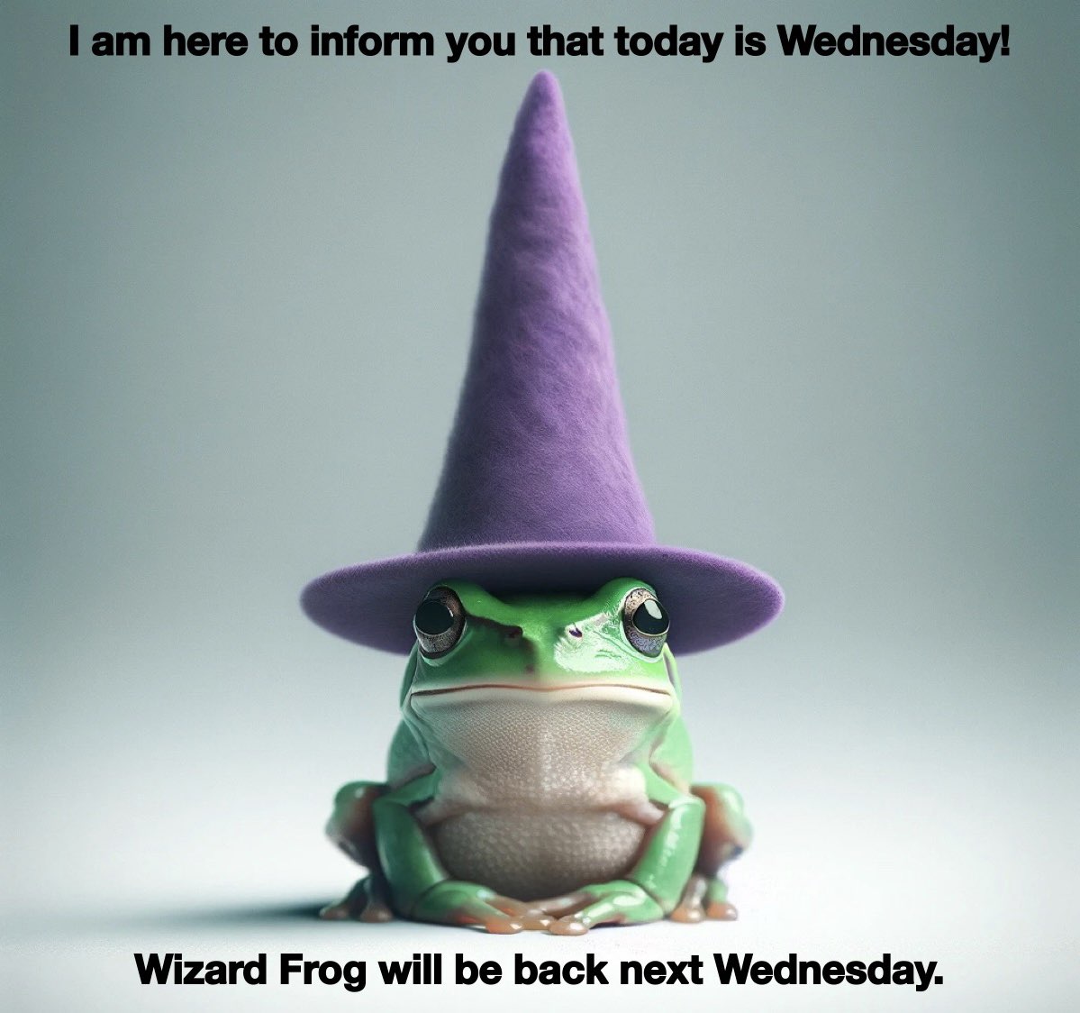 Wizard Frog Wednesday