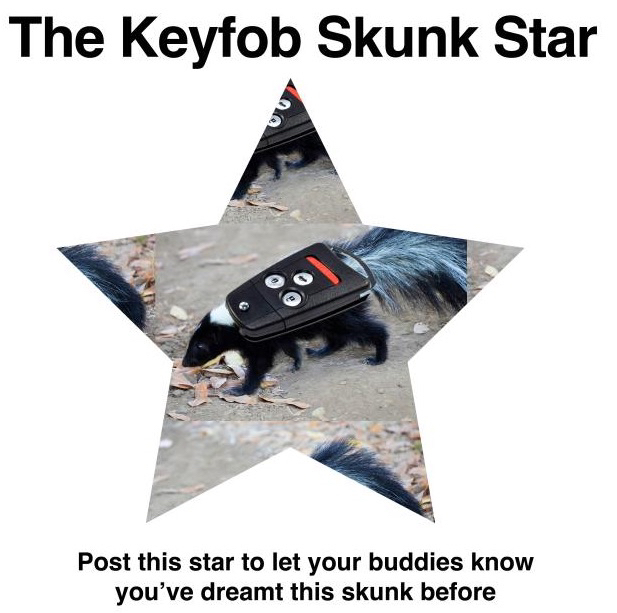 The Keyfob Skunk Star