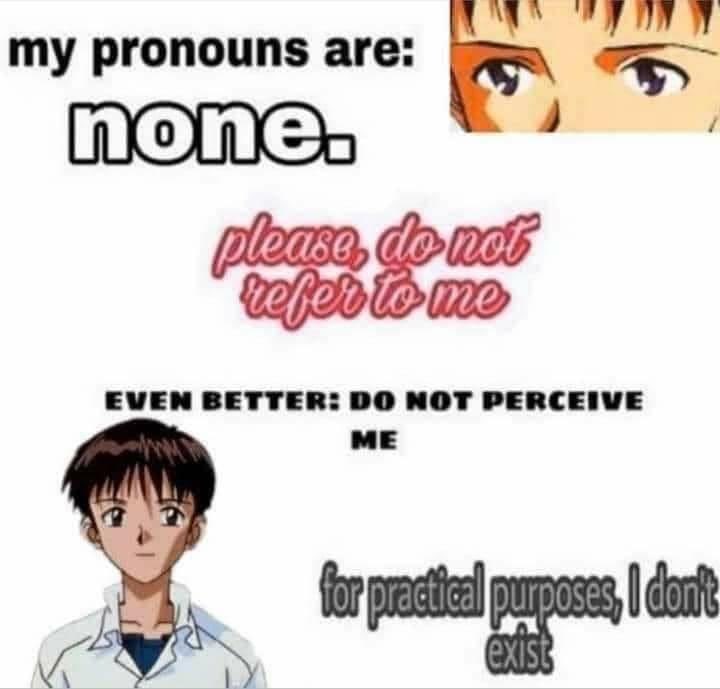 My Pronouns Are None