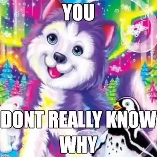 You Don't Really Know Why