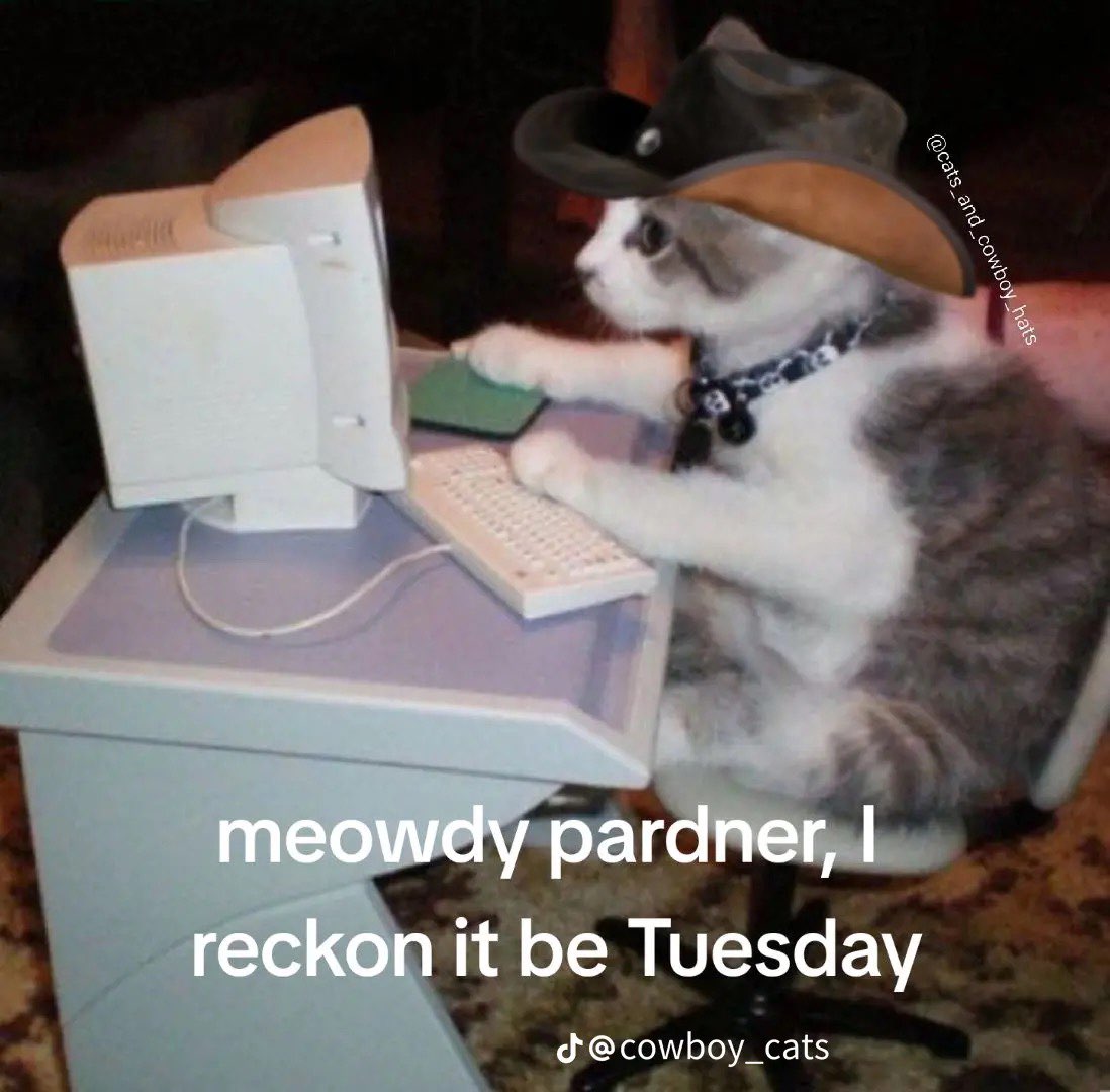 Meowdy Pardner, I Reckon It Be Tuesday