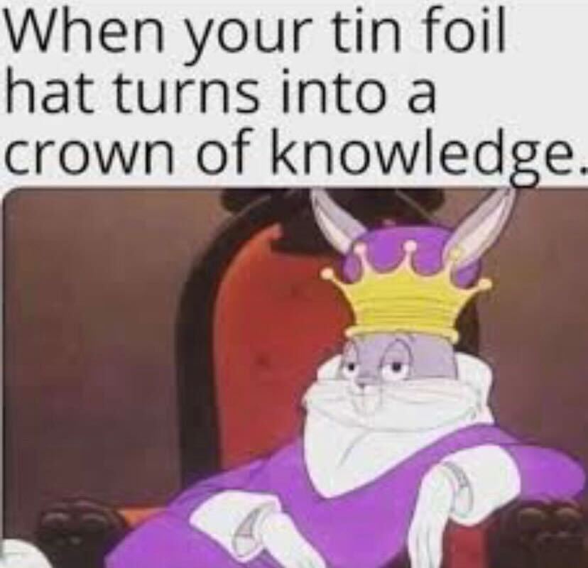 When Your Tin Foil Hat Turns into a Crown of Knowledge